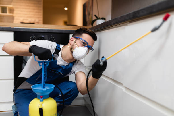 Best Affordable Pest Control Services  in Kittanning, PA