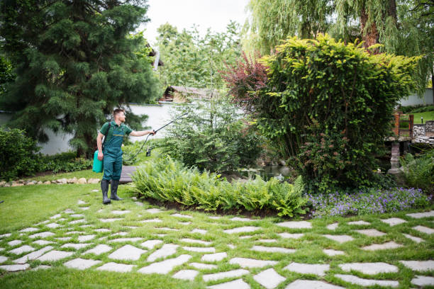 Best Pest Prevention Services  in Kittanning, PA