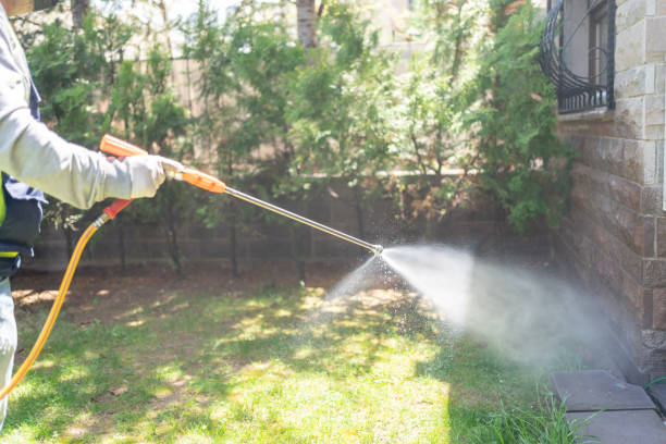 Bird Control in Kittanning, PA
