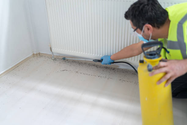 Best Emergency Pest Control  in Kittanning, PA